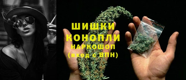 гашик Арсеньев