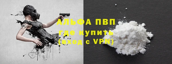 гашик Арсеньев