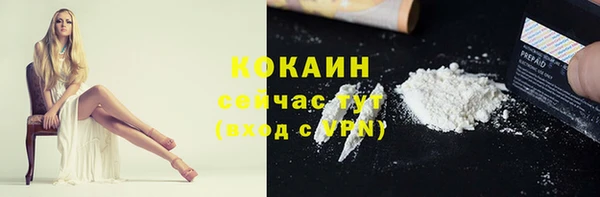гашик Арсеньев