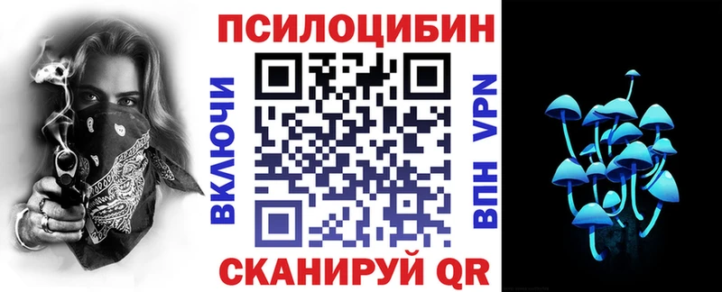 цена наркотик  Барабинск  Галлюциногенные грибы Psilocybine cubensis 